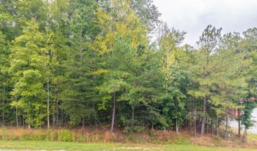 Photo #3 of Briarwood Dr, Farmville, VA 1.3 acres