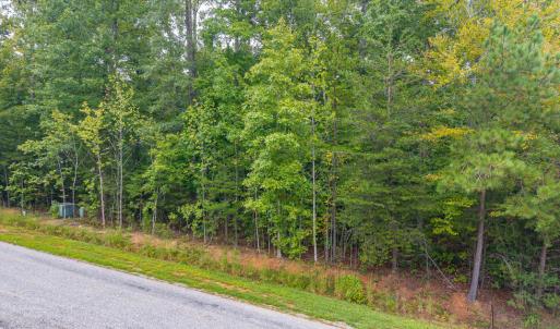 Photo #6 of Briarwood Dr, Farmville, VA 1.3 acres