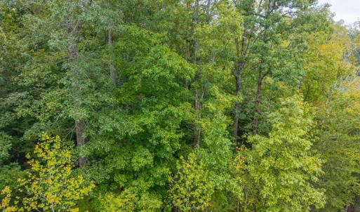 Photo #7 of Briarwood Dr, Farmville, VA 1.3 acres