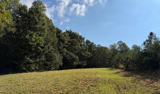 Photo #4 of Oakville Road, Gladstone, VA 17.4 acres