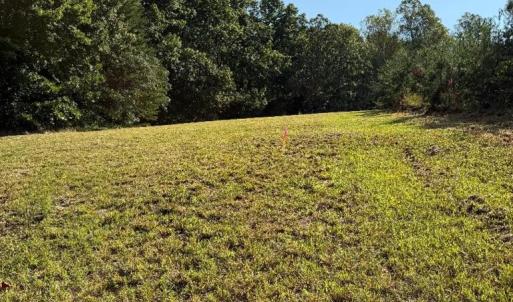 Photo #9 of Oakville Road, Gladstone, VA 17.4 acres