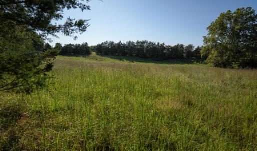Photo #10 of 630 Meherrin Road, Meherrin, VA 7.0 acres