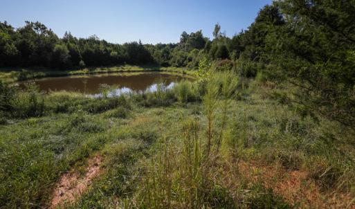 Photo #11 of 630 Meherrin Road, Meherrin, VA 7.0 acres