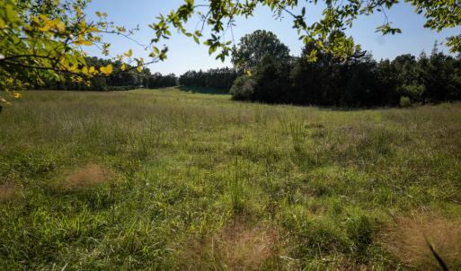 Photo #9 of 630 Meherrin Road, Meherrin, VA 7.0 acres