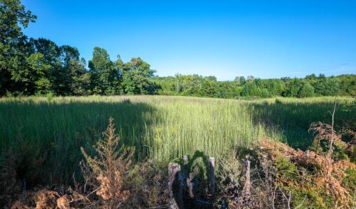 Photo #15 of 630 Meherrin Road, Meherrin, VA 3.4 acres