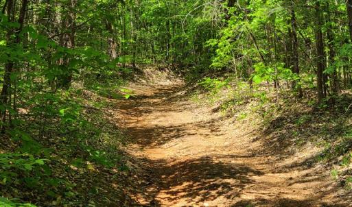 Photo #10 of Lees Mill Road, Drakes Branch, VA 61.5 acres