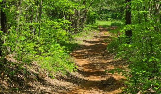 Photo #11 of Lees Mill Road, Drakes Branch, VA 61.5 acres
