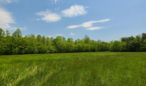 Photo #12 of Lees Mill Road, Drakes Branch, VA 61.5 acres
