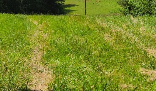 Photo #14 of Lees Mill Road, Drakes Branch, VA 61.5 acres
