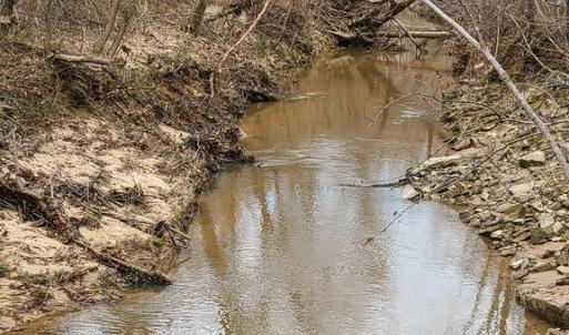 Photo #15 of Lees Mill Road, Drakes Branch, VA 61.5 acres