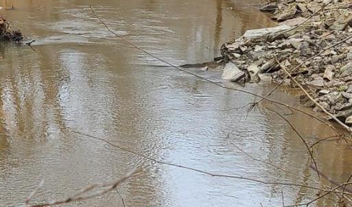 Photo #16 of Lees Mill Road, Drakes Branch, VA 61.5 acres