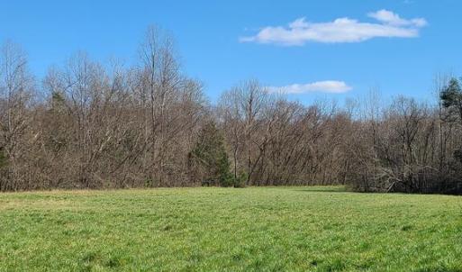 Photo #17 of Lees Mill Road, Drakes Branch, VA 61.5 acres