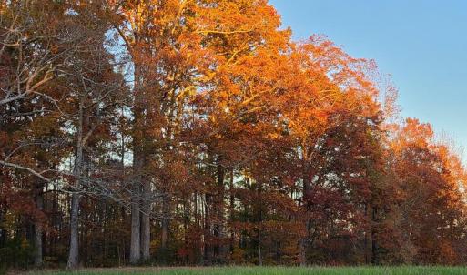 Photo #19 of Lees Mill Road, Drakes Branch, VA 61.5 acres