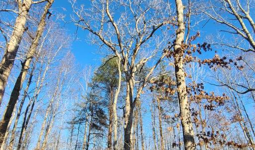 Photo #21 of Lees Mill Road, Drakes Branch, VA 61.5 acres