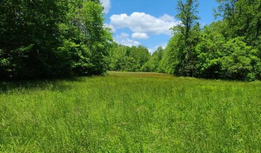 Photo #23 of Lees Mill Road, Drakes Branch, VA 61.5 acres