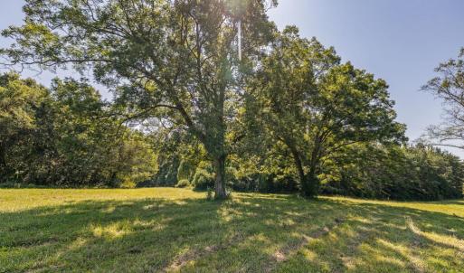 Photo #32 of Lees Mill Road, Drakes Branch, VA 61.5 acres