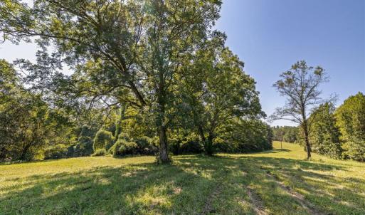 Photo #33 of Lees Mill Road, Drakes Branch, VA 61.5 acres