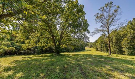 Photo #34 of Lees Mill Road, Drakes Branch, VA 61.5 acres
