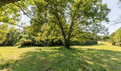 Photo #36 of Lees Mill Road, Drakes Branch, VA 61.5 acres