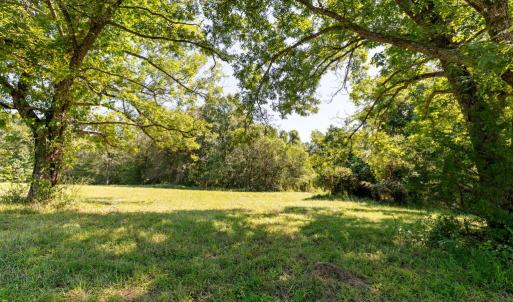 Photo #38 of Lees Mill Road, Drakes Branch, VA 61.5 acres