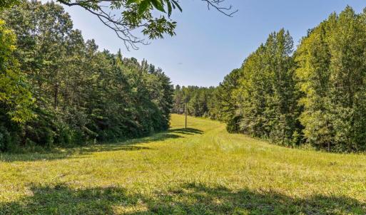 Photo #40 of Lees Mill Road, Drakes Branch, VA 61.5 acres