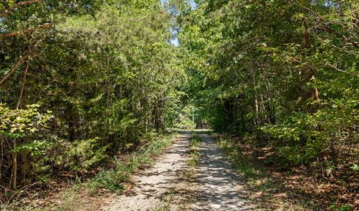 Photo #41 of Lees Mill Road, Drakes Branch, VA 61.5 acres