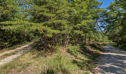 Photo #42 of Lees Mill Road, Drakes Branch, VA 61.5 acres