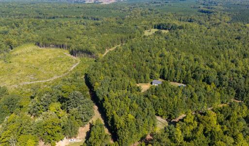 Photo #43 of Lees Mill Road, Drakes Branch, VA 61.5 acres