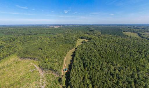 Photo #44 of Lees Mill Road, Drakes Branch, VA 61.5 acres