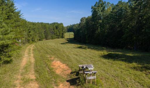Photo #47 of Lees Mill Road, Drakes Branch, VA 61.5 acres