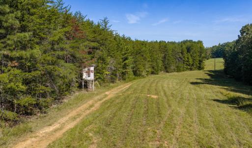 Photo #48 of Lees Mill Road, Drakes Branch, VA 61.5 acres