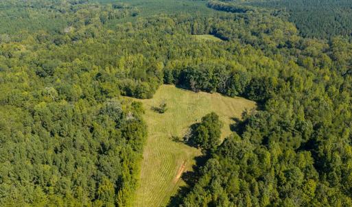 Photo #51 of Lees Mill Road, Drakes Branch, VA 61.5 acres