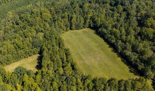 Photo #53 of Lees Mill Road, Drakes Branch, VA 61.5 acres