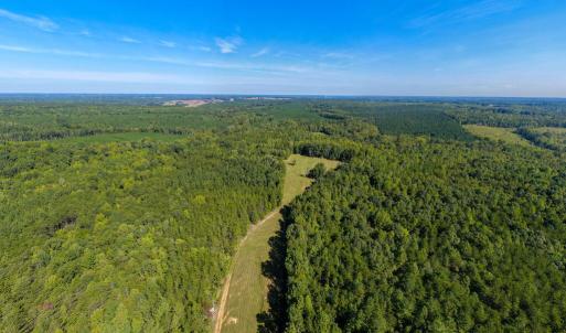 Photo #55 of Lees Mill Road, Drakes Branch, VA 61.5 acres
