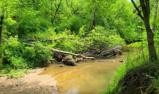 Photo #8 of Lees Mill Road, Drakes Branch, VA 61.5 acres