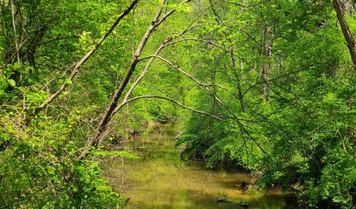 Photo #9 of Lees Mill Road, Drakes Branch, VA 61.5 acres