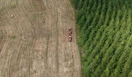 Photo #11 of 617 Banton Shop Road, Dillwyn, VA 44.1 acres