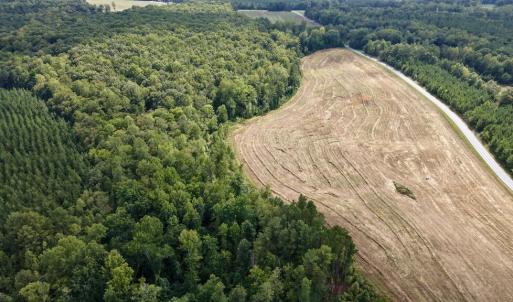 Photo #12 of 617 Banton Shop Road, Dillwyn, VA 44.1 acres