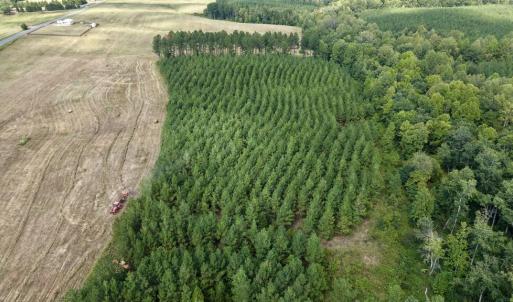 Photo #2 of 617 Banton Shop Road, Dillwyn, VA 44.1 acres