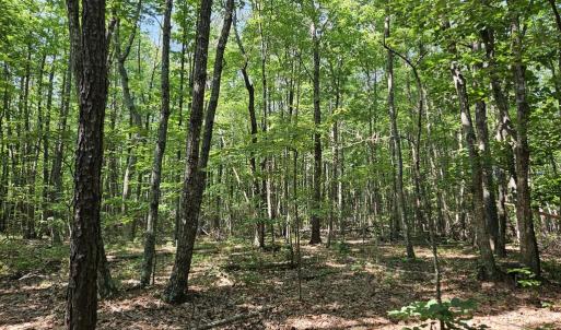 Photo #10 of 604 Meadow Creek, Wingina, VA 5.6 acres