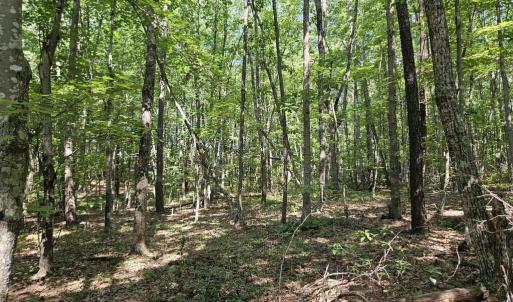 Photo #12 of 604 Meadow Creek, Wingina, VA 5.6 acres