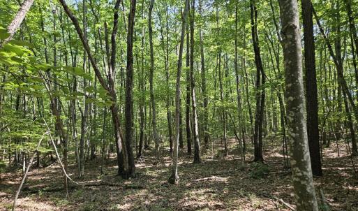 Photo #13 of 604 Meadow Creek, Wingina, VA 5.6 acres