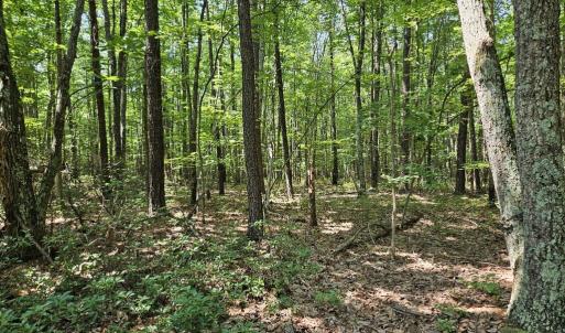 Photo #14 of 604 Meadow Creek, Wingina, VA 5.6 acres