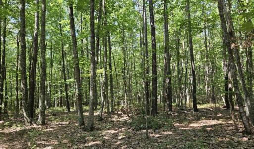 Photo #15 of 604 Meadow Creek, Wingina, VA 5.6 acres