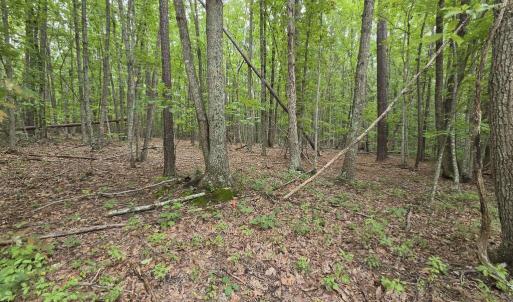 Photo #3 of 604 Meadow Creek, Wingina, VA 5.6 acres