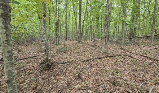 Photo #4 of 604 Meadow Creek, Wingina, VA 5.6 acres