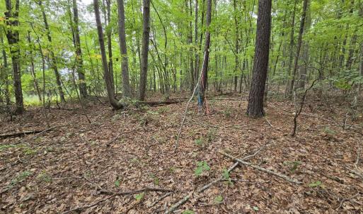 Photo #5 of 604 Meadow Creek, Wingina, VA 5.6 acres