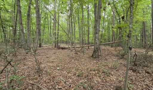 Photo #6 of 604 Meadow Creek, Wingina, VA 5.6 acres