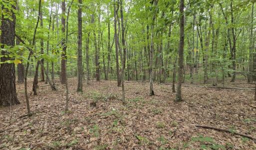 Photo #7 of 604 Meadow Creek, Wingina, VA 5.6 acres