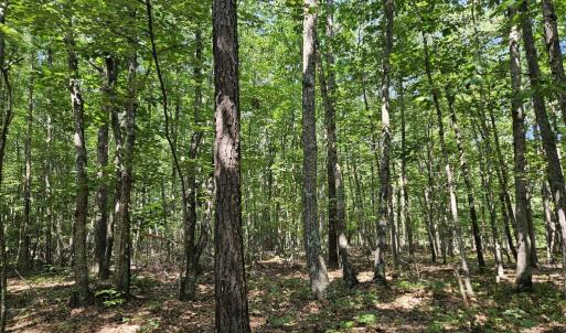 Photo #9 of 604 Meadow Creek, Wingina, VA 5.6 acres